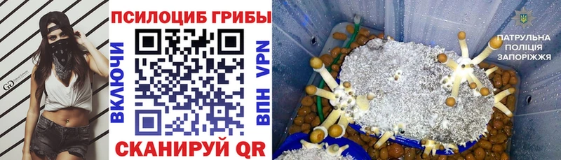 Галлюциногенные грибы Magic Shrooms  цена наркотик  Минеральные Воды 